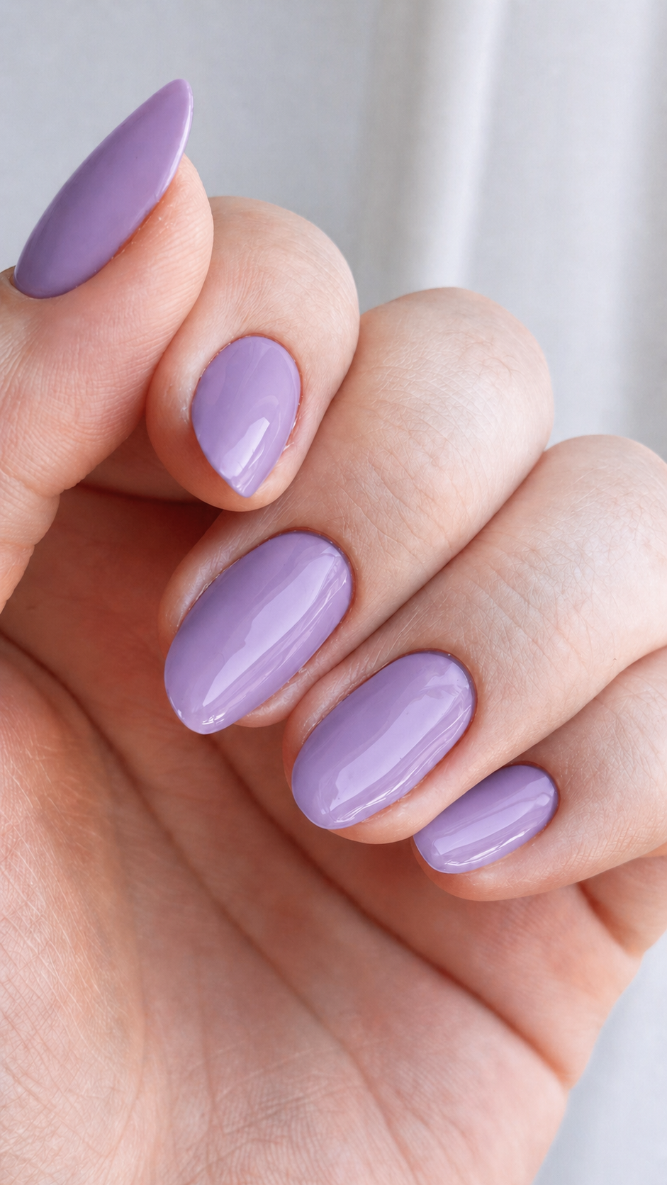 Lavanda