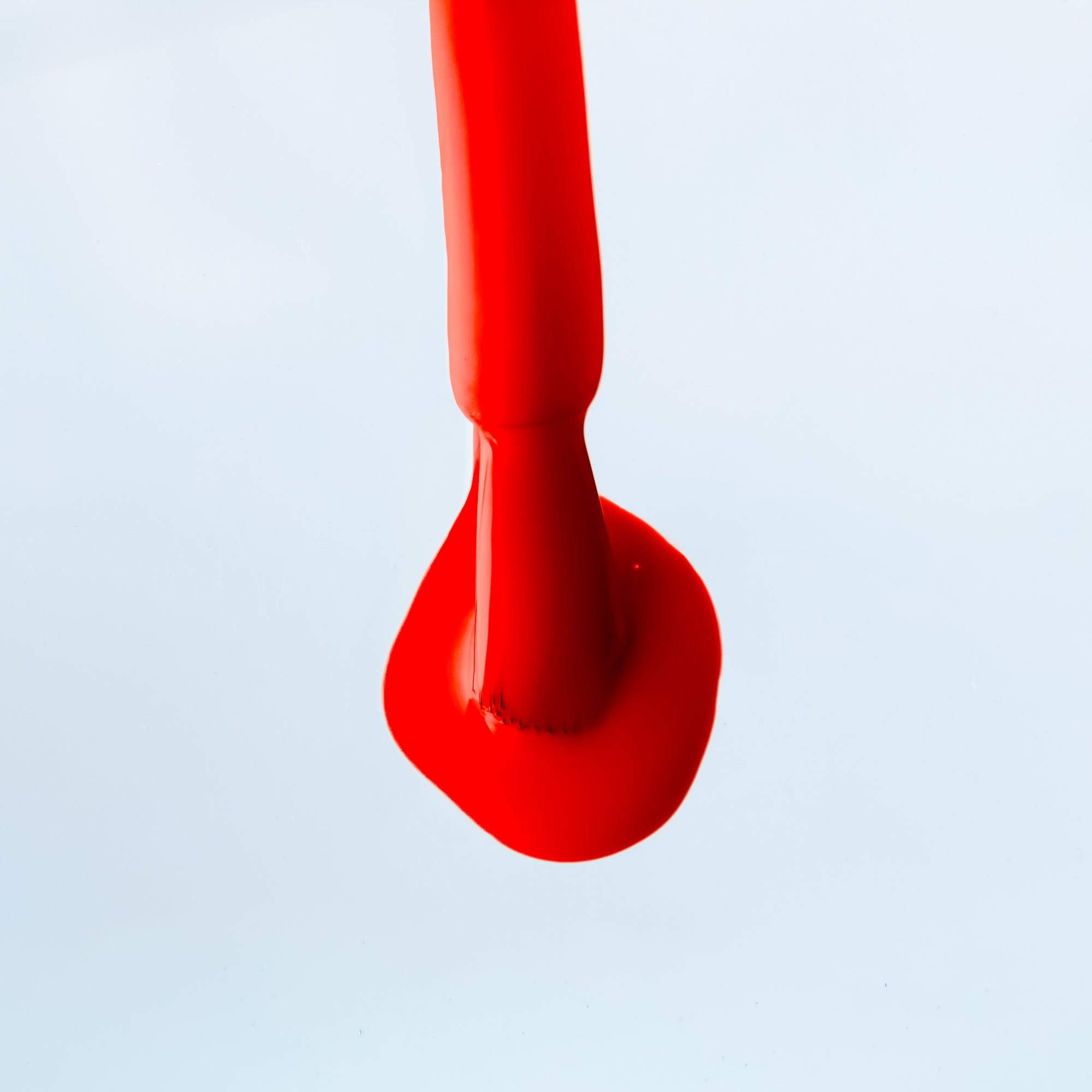 Rojo Pop