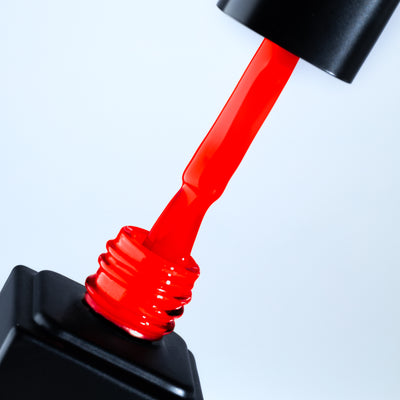 Rojo Pop