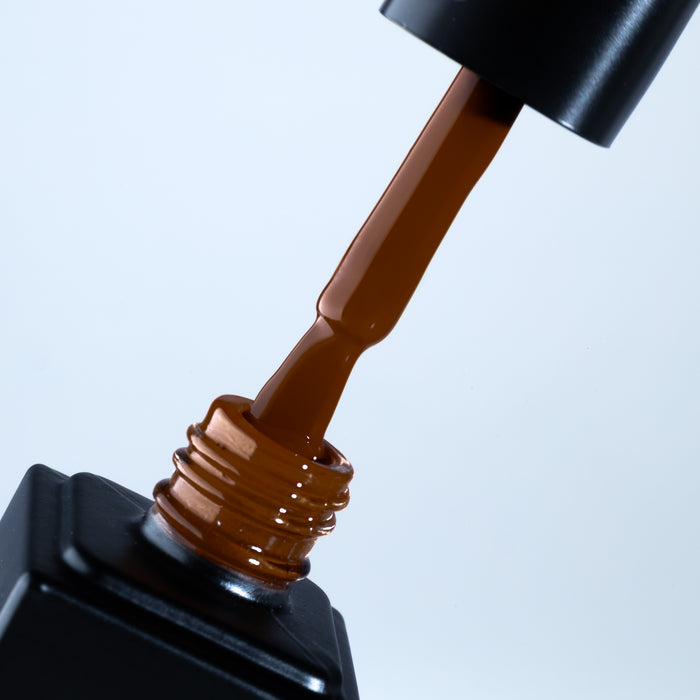 Cold Brew